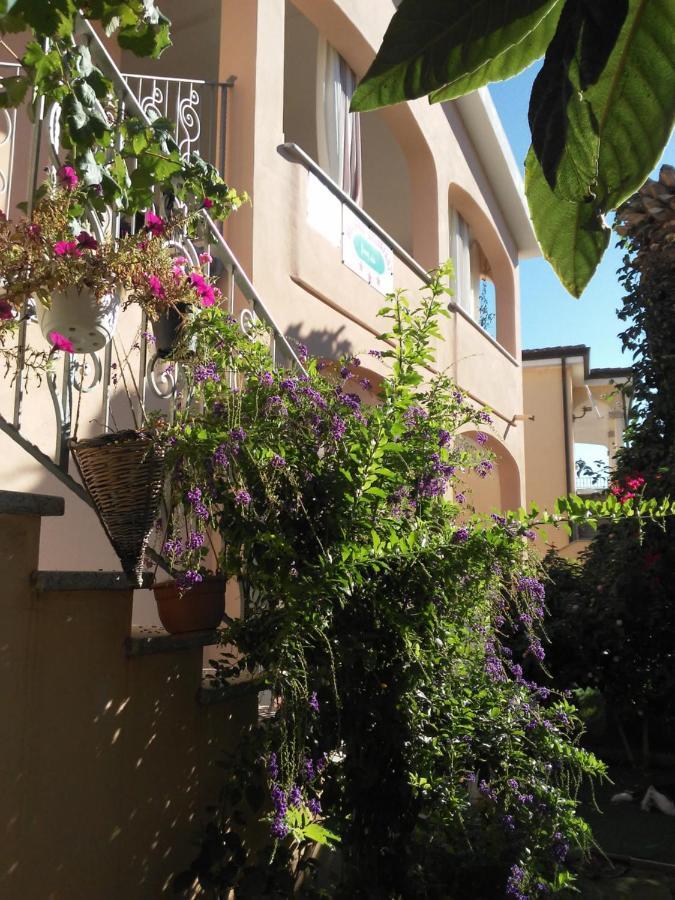 B&B Sos Manneddos Posada  Extérieur photo